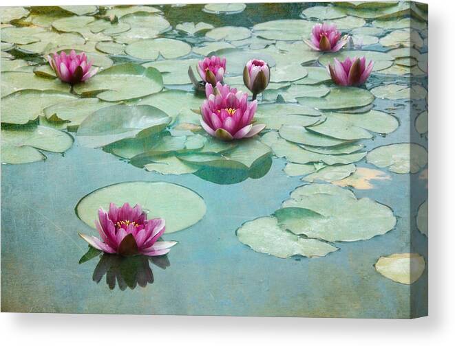 Daffodils Canvas Print featuring the photograph Waterliles by Carolyn D'Alessandro