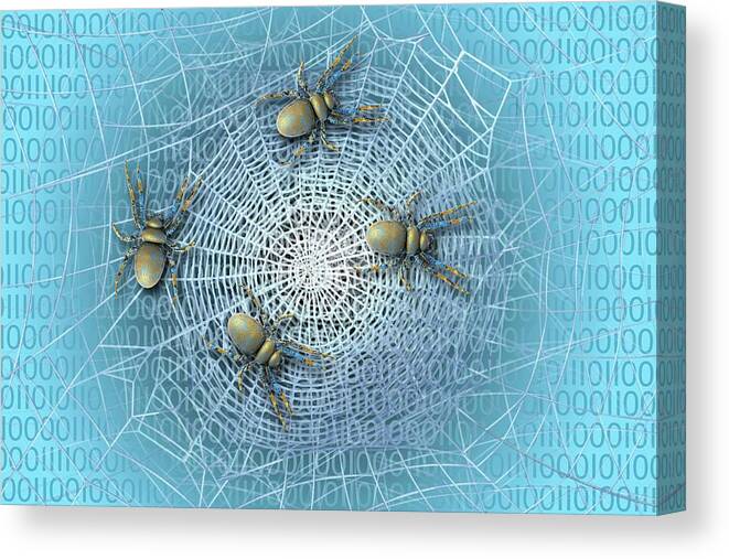 Worldwide Web Canvas Print featuring the photograph Web Crawlers by Carol & Mike Werner