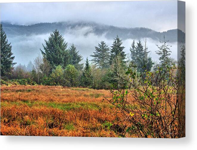 Wetlands Canvas Print featuring the photograph Wetlands In The Fall by Chriss Pagani