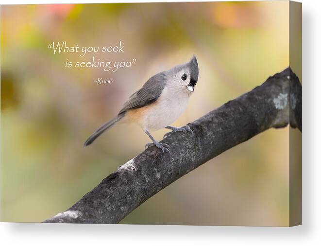 Quote Canvas Print featuring the photograph What You Seek by Bill Wakeley