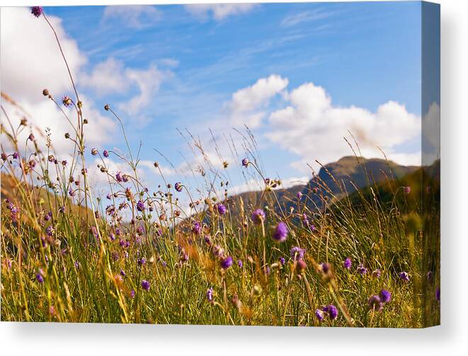 Jenny Rainbow Art Photography Canvas Print featuring the photograph When the Sun is Shining Everything Around Smiling Towards. Scotland by Jenny Rainbow