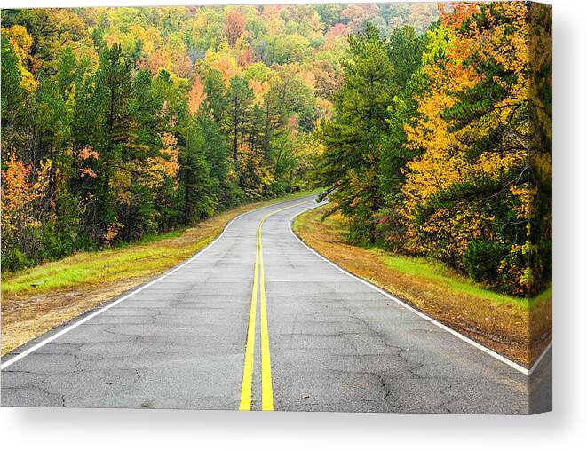 Talimena Scenic Highway Canvas Print featuring the photograph Where this Road will Take You - Talimena Scenic Highway - Oklahoma - Arkansas by Silvio Ligutti