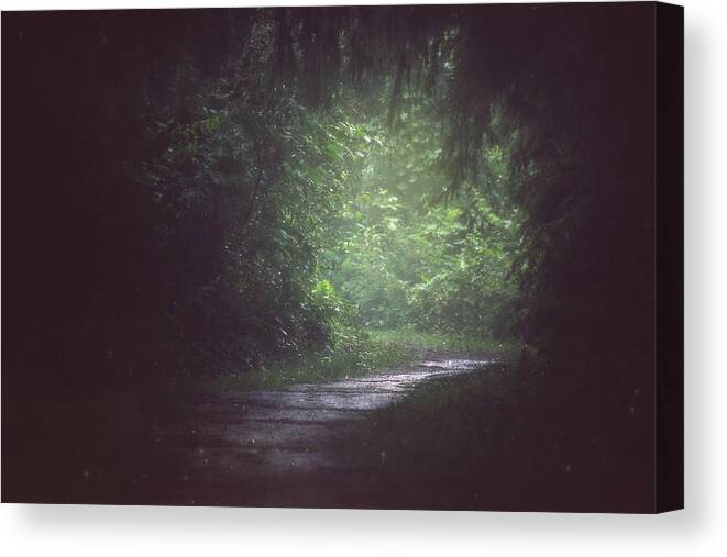 Wherever The Path May Lead Canvas Print featuring the photograph Wherever The Path May Lead by Carrie Ann Grippo-Pike