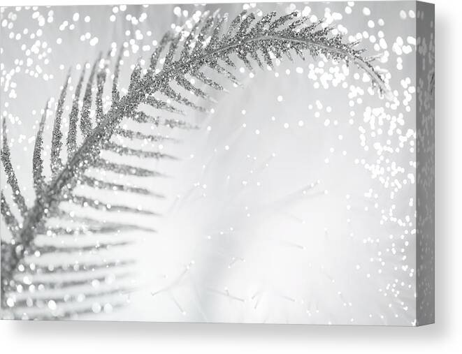 Abstract Canvas Print featuring the photograph White Bird by Dazzle Zazz