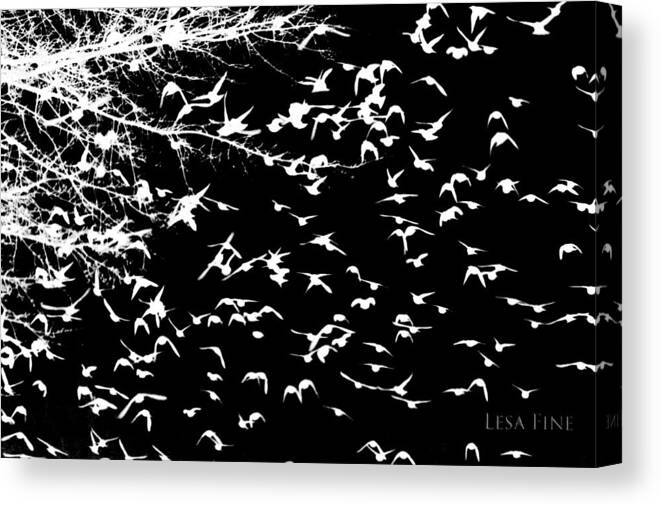 Black Canvas Print featuring the mixed media White Blackbirds on Black by Lesa Fine