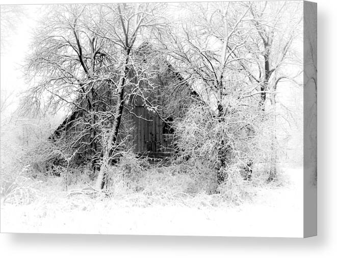 Barn Canvas Print featuring the photograph White Christmas 1 by Julie Hamilton