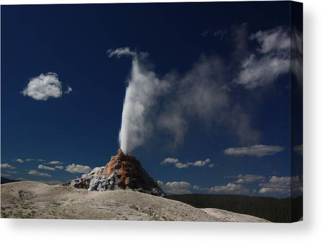 Geyser Canvas Print featuring the photograph White Dome Geyser in Yellowstone National Park by Jean Clark