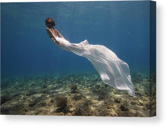 White Canvas Print featuring the photograph White Dress by Assaf Gavra