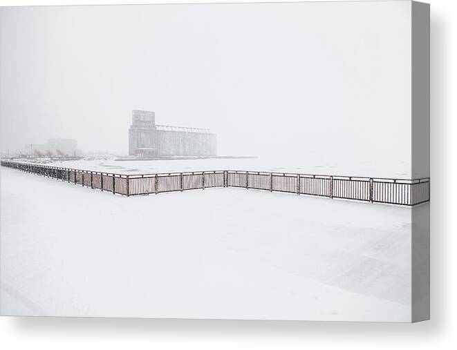 Buffalo Photographs Canvas Print featuring the photograph White Out by John Angelo Lattanzio