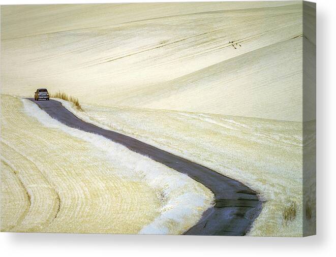 Ir Canvas Print featuring the photograph White by Piotr Krol (bax)