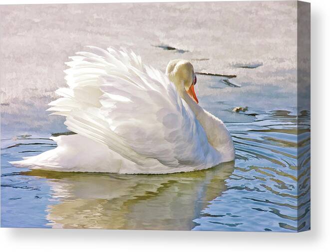 Waterfowl Canvas Print featuring the photograph White Swan by Elaine Manley