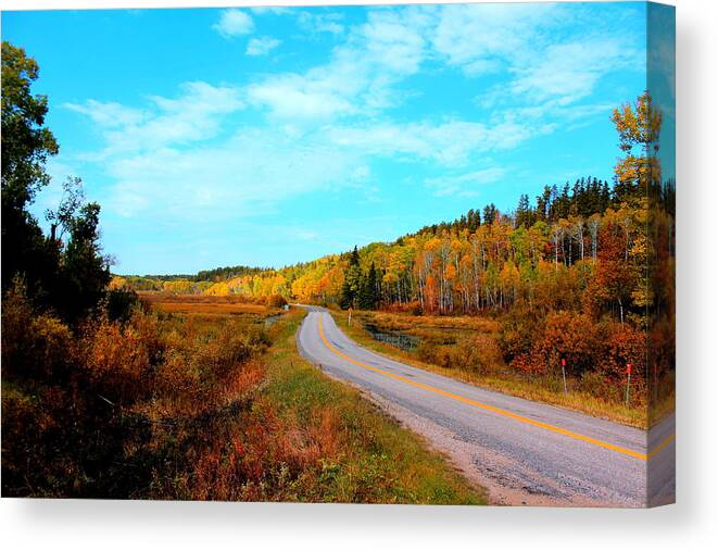 Autumn Canvas Print featuring the photograph Whiteshell Provincial Park by Larry Trupp