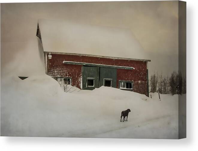 Barns Canvas Print featuring the photograph Why Some Barns Are Painted Red by Sue Capuano