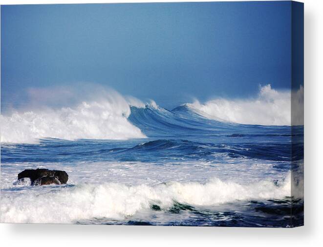 Seascape Art Canvas Print featuring the photograph Wild Blue by Kandy Hurley