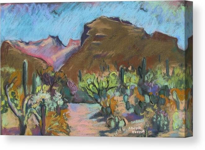 Tuscon Canvas Print featuring the painting Wild Tuscon by Linda Novick