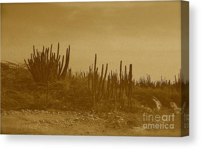 Sepia Canvas Print featuring the photograph Wild West Iva by Anita Lewis