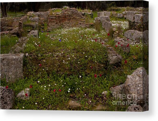Olympia Canvas Print featuring the photograph Wildflowers And Olympia Ruins  #9594 by J L Woody Wooden
