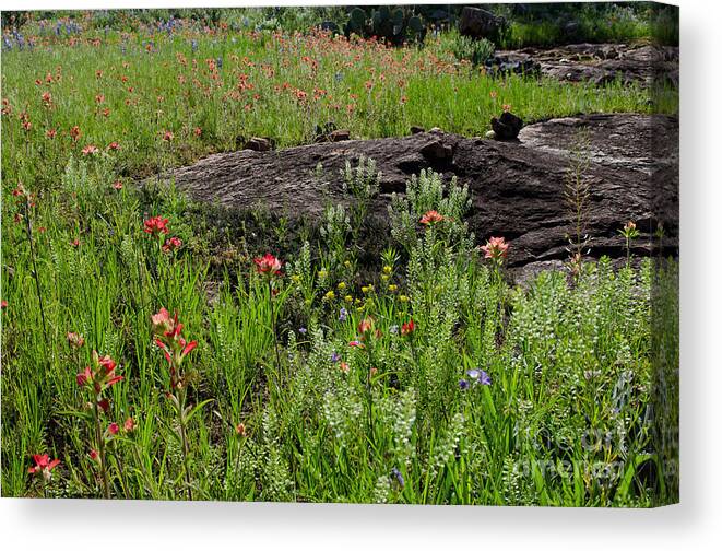 Landscape Canvas Print featuring the photograph Wildflowers at Reveille Peak Ranch by Cathy Alba