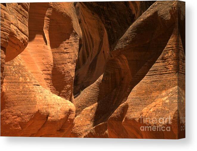 Escalante Canvas Print featuring the photograph Willis Creek Utah by Adam Jewell