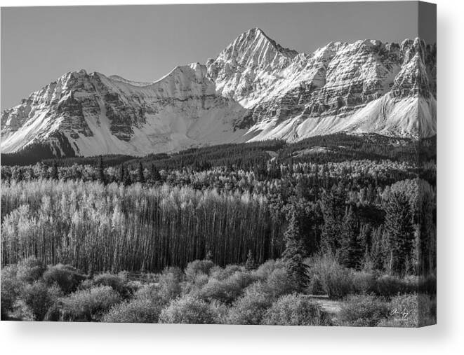 Wilson Canvas Print featuring the photograph Wilson Peak Black and White by Aaron Spong