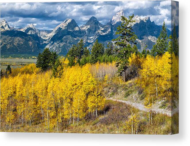 Grand Teton National Park Canvas Print featuring the photograph Winding Down Shadow Mountain by Kathleen Bishop