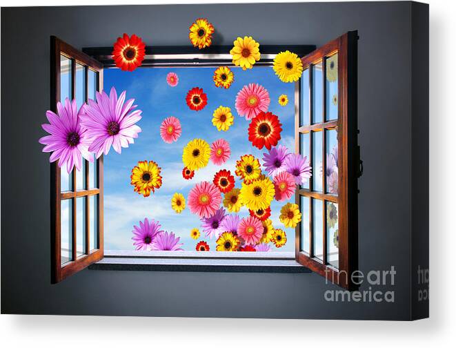 Abstract Canvas Print featuring the photograph Window of Flowers by Carlos Caetano