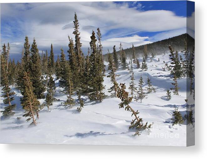 Mountains Canvas Print featuring the photograph Windswept Terrain by Tonya Hance