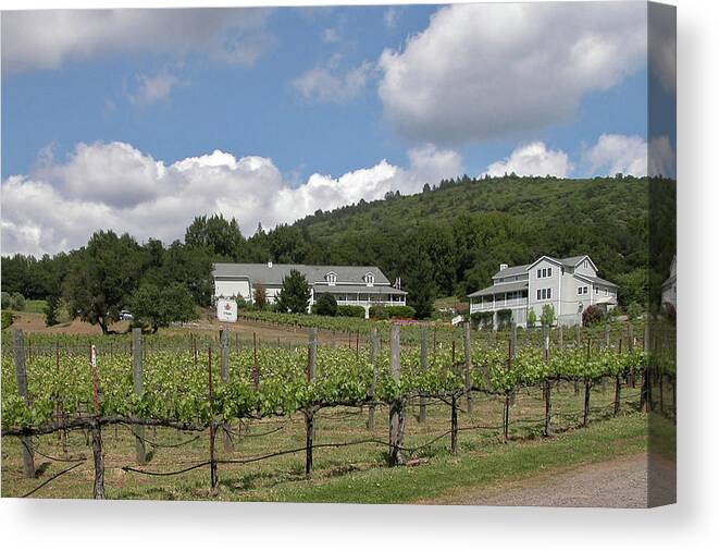 Guy Whiteley Canvas Print featuring the photograph Wine Country by Guy Whiteley