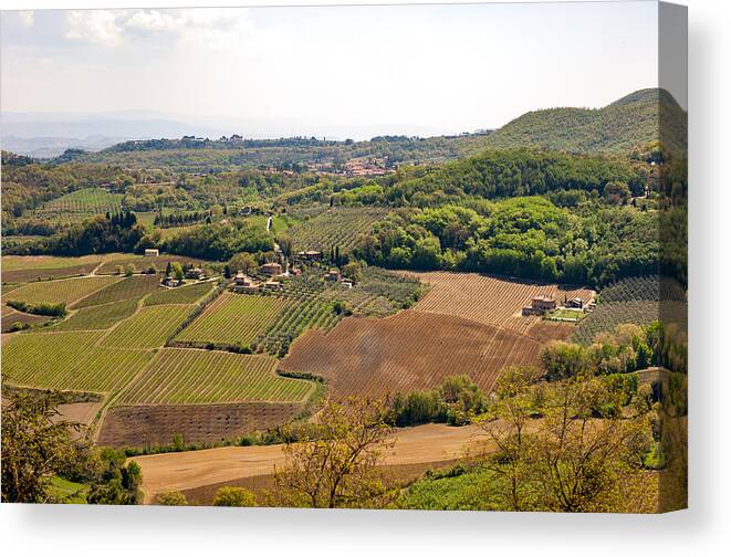 Pienza Canvas Print featuring the photograph Wine fields in Tuscany by Jakob Montrasio