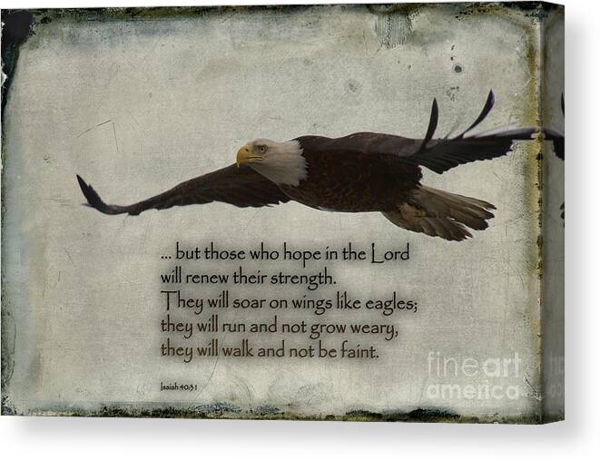 Bible Verse Canvas Print featuring the photograph Wings Like Eagles by David Arment