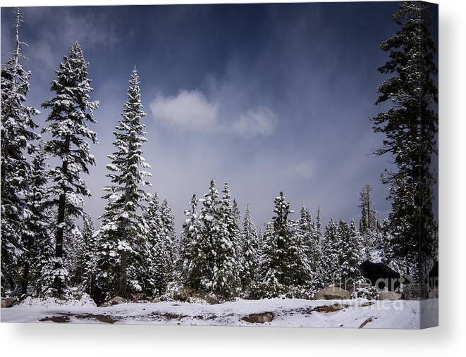 echo Summit Canvas Print featuring the photograph Winter Again by Janis Knight