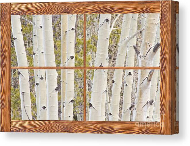 Trees Canvas Print featuring the photograph Winter Aspen Tree Forest Barn Wood Picture Window Frame View by James BO Insogna