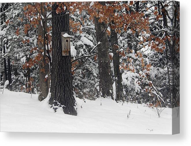 Winter Canvas Print featuring the photograph Winter Bird House by Wayne Meyer
