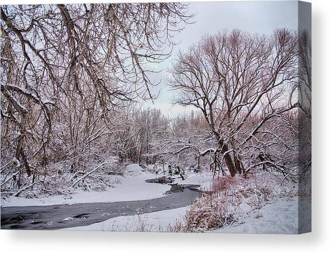 Winter Canvas Print featuring the photograph Winter Creek by James BO Insogna