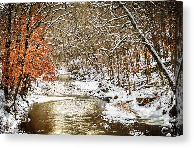 Winter Canvas Print featuring the photograph Winter Creek by Nicole Cops