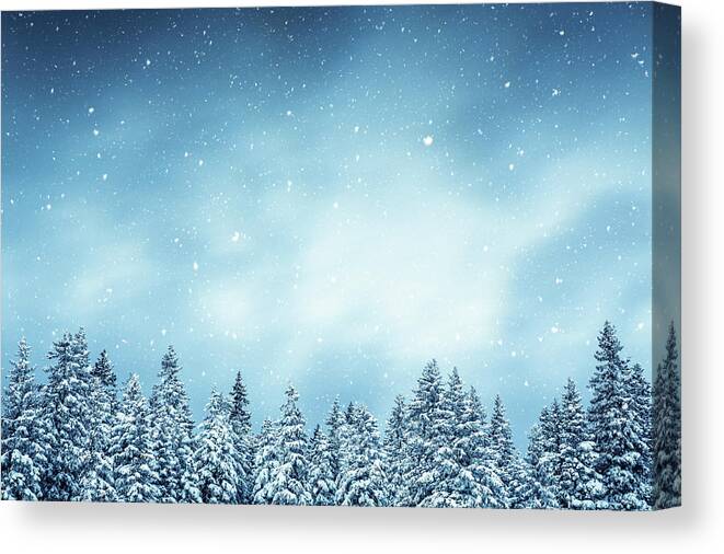 Scenics Canvas Print featuring the photograph Winter Forest by Borchee