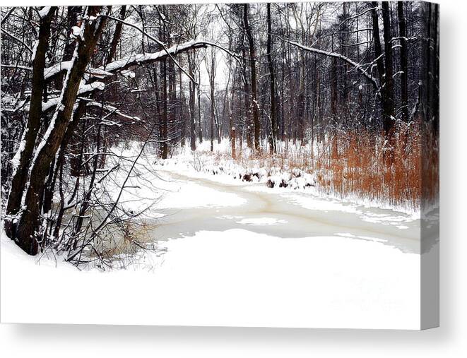 Winter Canvas Print featuring the photograph Winter Landscape by Dariusz Gudowicz