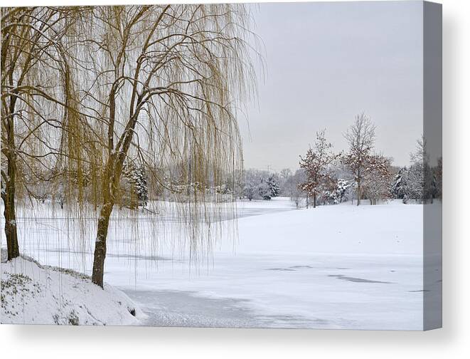 Winter Scene Canvas Print featuring the photograph Winter Landscape by Julie Palencia