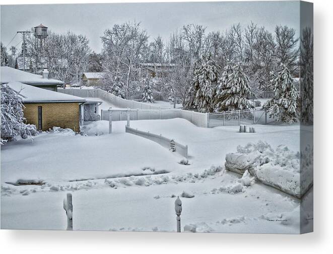Snow Canvas Print featuring the photograph Winter Lines by Thomas Woolworth