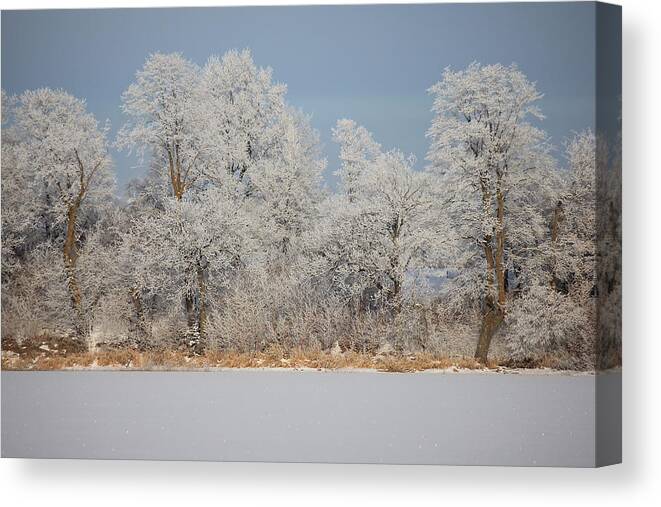 Winter Canvas Print featuring the photograph Winter Morning by Penny Meyers