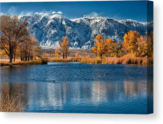 Lake Canvas Print featuring the photograph Winter or Fall by Cat Connor