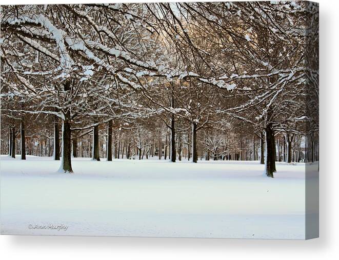 Winter Scenes Canvas Print featuring the photograph Winter Snow by Ann Murphy