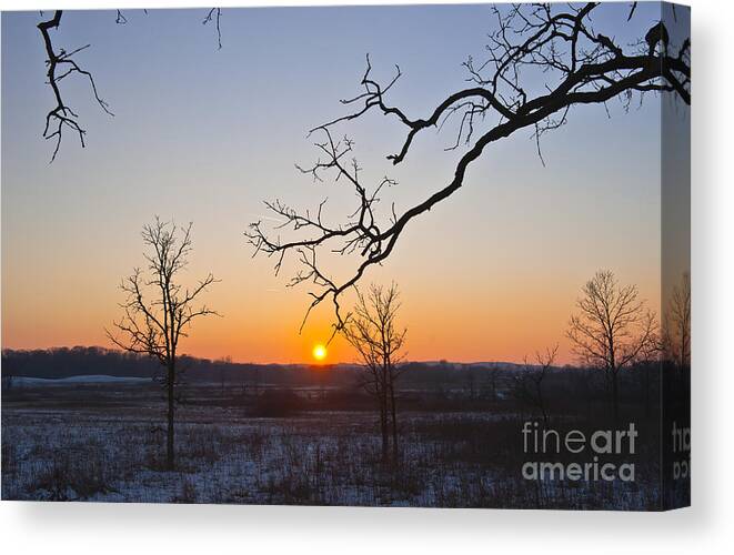 Winter Sunset Canvas Print featuring the photograph Winter Sun Ornament by Dan Hefle