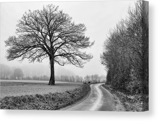 Tree Canvas Print featuring the photograph Winter Tree by Jurgen Lorenzen