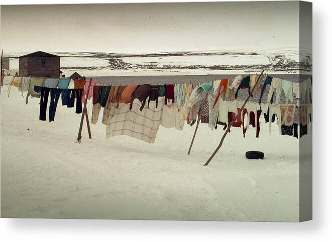 Clothes Line Canvas Print featuring the photograph Winter Wash Day Labrador by Douglas Pike