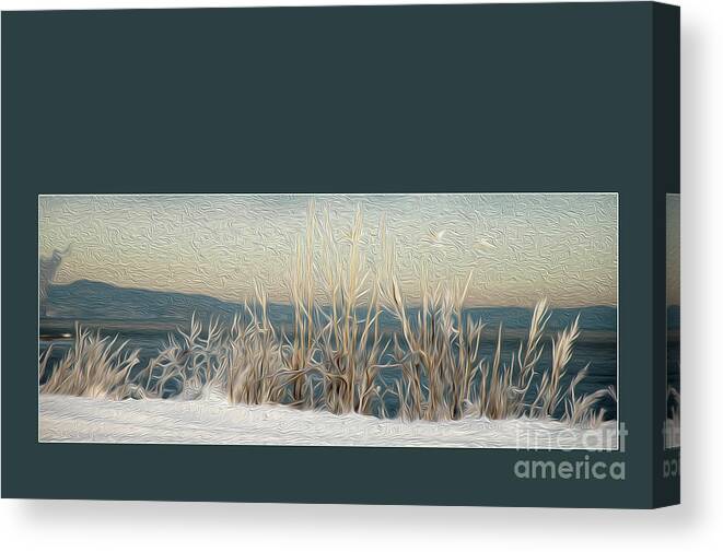 Winter Canvas Print featuring the photograph Winter Weeds by Randi Grace Nilsberg