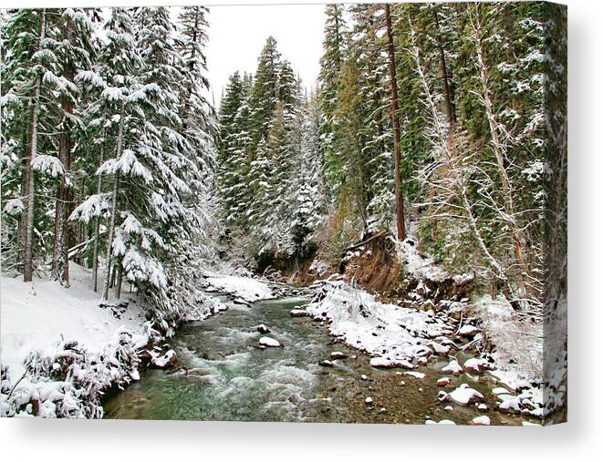 Trees Canvas Print featuring the photograph Winter Wonderland by Athena Mckinzie