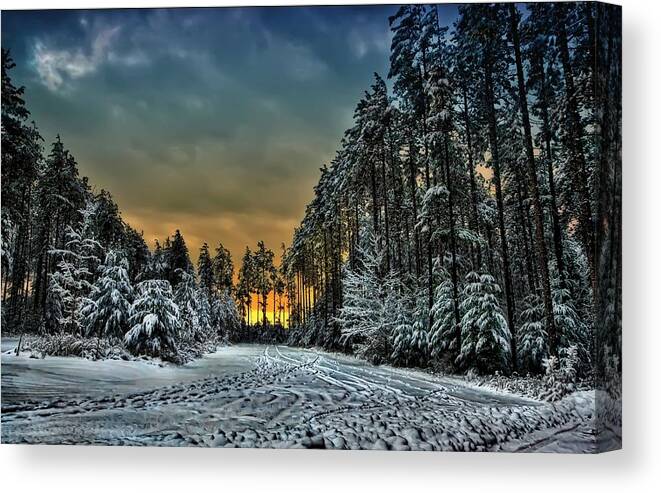 Chilly Canvas Print featuring the photograph Winter Wonderland by Jeff S PhotoArt