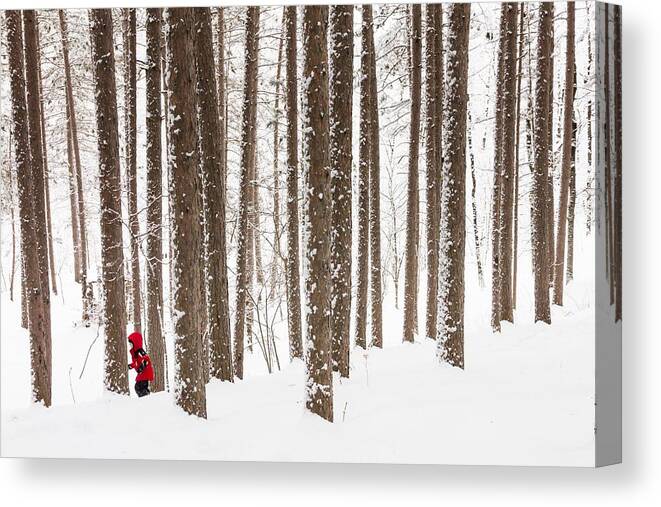 north Woods Snow snowy Woods winter Woods duluth lake Superior Winter fresh Snow greeting Cards amity Woods lester Park child In Landscape childhood Wonder winter Wonderland Canvas Print featuring the photograph Winter Frolic by Mary Amerman