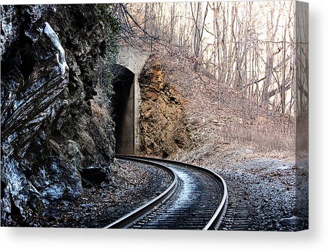 Winter Canvas Print featuring the photograph Wintery Tunnel by Tammy Schneider